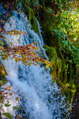 Autumn landscape in Plitvice , croatia