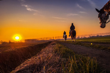 Passeggiata a cavallo attraverso le campagne del Parco del Ticino su una strada sterrata che conduce verso un bellissimo tramonto autunnale arancione e blu © Stefano
