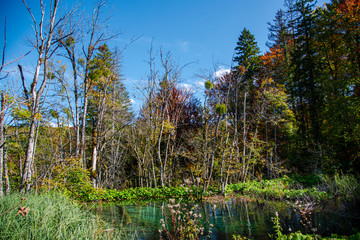 Fototapeta na wymiar Autumn landscape in Plitvice Lakes Park, Croatia