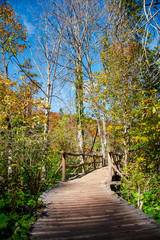 Autumn landscape in Plitvice Lakes Park, Croatia