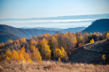 Fototapeta premium Autumn landscape