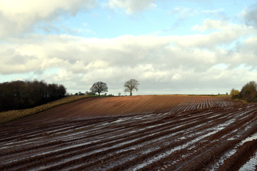Fototapeta na wymiar Ploughed, muddy field in Herefordshire