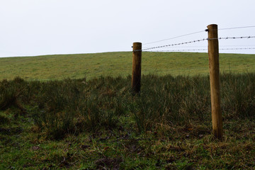 Two fence posts in wet field.