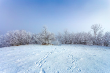 Beautiful winter landscape on the hills, footprints in the snow and rime covered trees