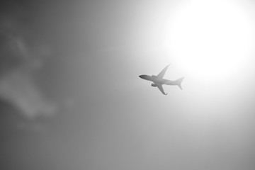 Airplane
