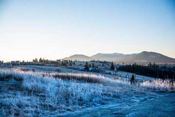Morning winter landscape