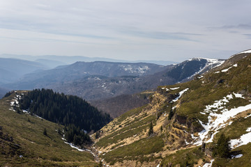 Fototapeta na wymiar Alien, rocky landscapes of Old mountain in Serbia, near Kopren summit, vertical cliffs and famous juniper fields