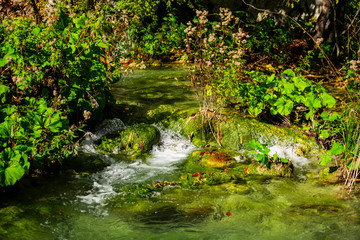 Inside of the Plitvice Park in gthe fall season