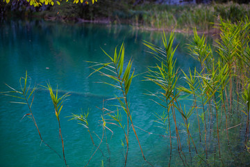 Autumn landscape in Plitvice Lakes Park, Croatia