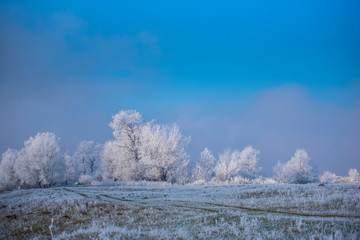 Obraz na płótnie Canvas Winter wonderland