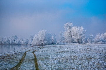 Winter wonderland