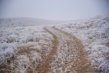 Winter foggy day