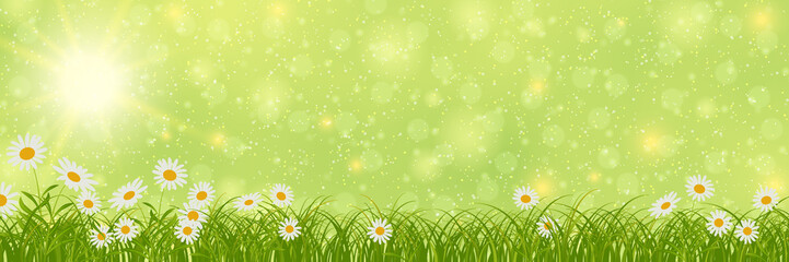 Fototapeta na wymiar Spring banner vector design template. Green blurred background with flowers and bokeh effect
