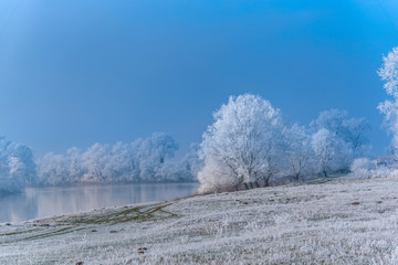 Obraz na płótnie Canvas Rime tree in the winter near the river
