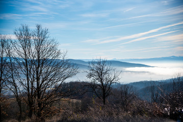 Obraz na płótnie Canvas Morning fog on the winter