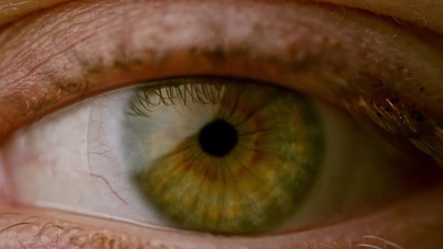 Close Up of Vibrant Green Colored Eye Focusing and Opening