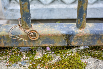 Rusty cast iron rod, old weathered concrete surface covered with green moss