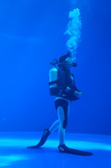 Fototapeta na wymiar Diver swimming in blue underwater