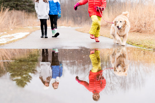 Reflection of young girls walking their dog on a leash through a puddle at the park