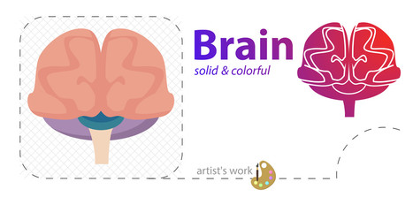 brain vector flat illustration, solid, line icon