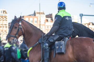 Dutch police squad formation and horseback riding mounted police back view with "Police" logo emblem on uniform maintain public order after football game and rally in the streets of Amstrdam center