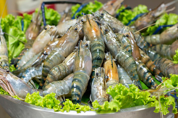  river prawn on ice background