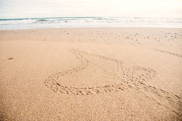 Fototapeta na wymiar baby turtles footprint on the beach Australia Queensland Bundaberg beauty in nature protection