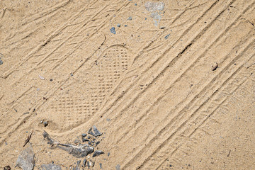 何も植えていない畑の写真 / 農業のイメージ