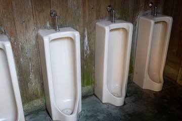 汚い男性用公衆便所の写真