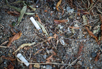 ポイ捨てされたタバコの写真/環境・社会問題のイメージ/喫煙者のマナー