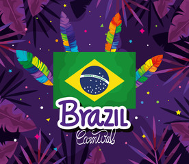 poster of brazil carnival with flag and feathers