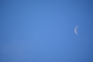 Obraz na płótnie Canvas the Crescent moon on blue sky in the day