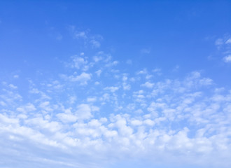 Naklejka na ściany i meble White scattered cloud and blue sky