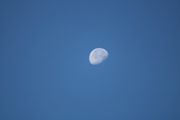 daytime moon in the sky