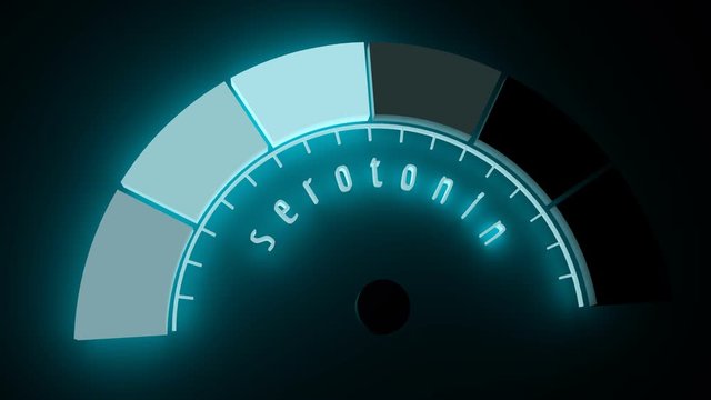 Hormone serotonin result. The measuring device. Infographic gauge element. Flash light indicator. Neon shine scale