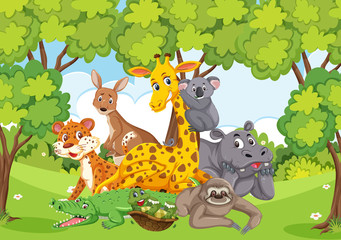 Scene with many wild animals in the forest