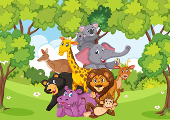 Obraz na płótnie Canvas Scene with many wild animals in the forest