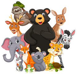 Different types of wild animals on white background