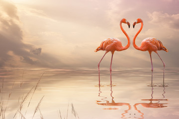 A pair of pink flamingos making a heart shape in reflection pond. Love concept 