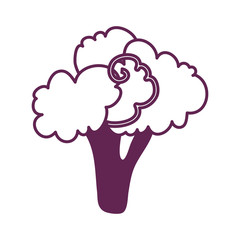 fresh broccoli vegetable isolated icon