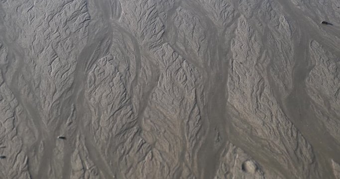 Close up of wet and muddy coastal ground with branched patterns caused by tides.