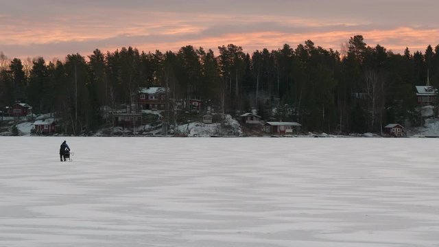 Fisherman kick sledding on frozen sea lake at dawn, cold winter morning