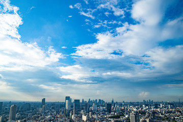 Naklejka premium Widok na Tokio