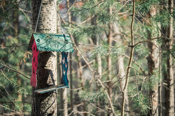 Wooden feeder for birds and squirrels hangs on tree in forest park in spring time.