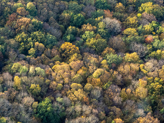 vue aérienne de la forêt à l'automne à Mézy-sur-Seine dans les Yvelines en France