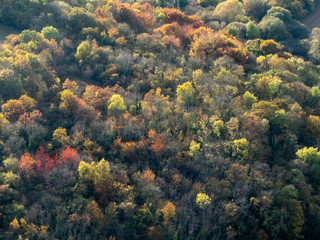 vue aérienne de la forêt à l'automne au Montcient dans les Yvelines en France