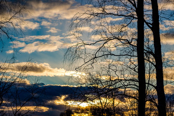 Sunset on blue sky behind tree branches