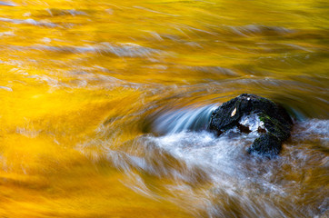 紅葉を映した川の流れ