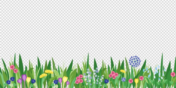 Spring garden grass and flowers border. Cartoon vector flower background. Green elements objects flora on transparent background