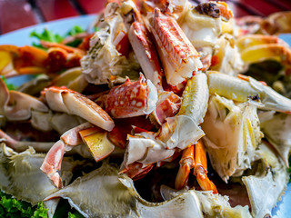 Steamed crab in plate